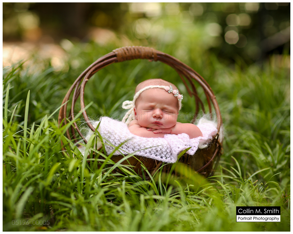 © Collin M. Smith Portrait Photography www.cmsmithportraits.com/blog